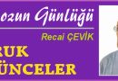 ISTAKOZUN GÜNLÜĞÜ – Savruk Düşünceler