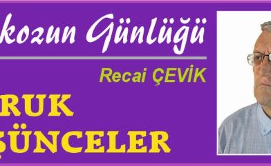 ISTAKOZUN GÜNLÜĞÜ – Savruk Düşünceler