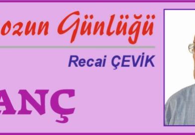 ISTAKOZUN GÜNLÜĞÜ – UTANÇ