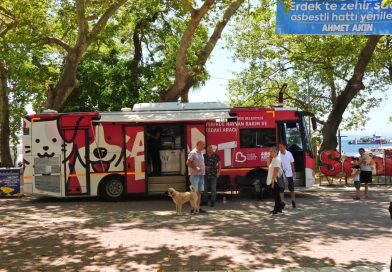 ERDEK’TE Kİ SOKAK HAYVANLARI “CAN DOST”A EMANET