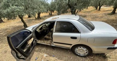 ERDEK’TE ÇALINAN ARAÇ ZEYTİN BAHÇESİNDE BULUNDU