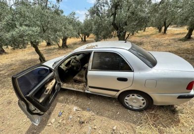 ERDEK’TE ÇALINAN ARAÇ ZEYTİN BAHÇESİNDE BULUNDU