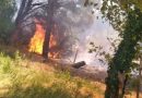 NARLI BEYAZEVLER YANGINI SÖNDÜRÜLDÜ