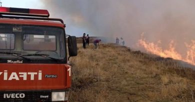 PAŞALİMAN ADASI POYRAZLI’DA YANGIN