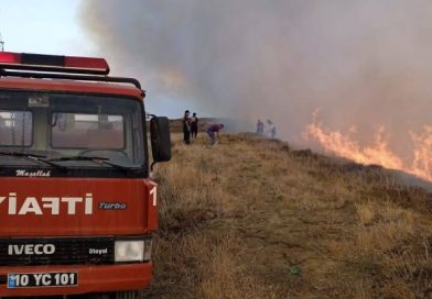 PAŞALİMAN ADASI POYRAZLI’DA YANGIN