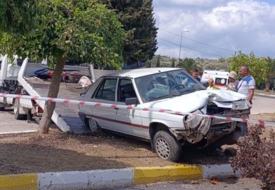 TEK ZEYTİN’DE AĞACA ÇARPARAK DURABİLDİ