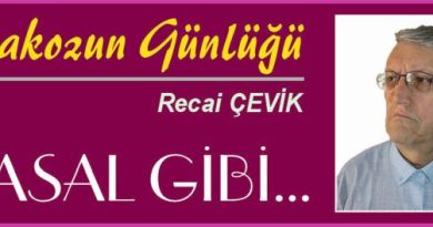 ISTAKOZUN GÜNLÜĞÜ – MASAL GİBİ