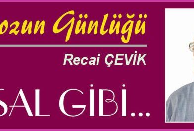 ISTAKOZUN GÜNLÜĞÜ – MASAL GİBİ
