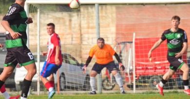 MARTILAR EVİNDE KAYIP