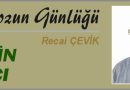 ISTAKOZUN GÜNLÜĞÜ – ZEYTİN AĞACI