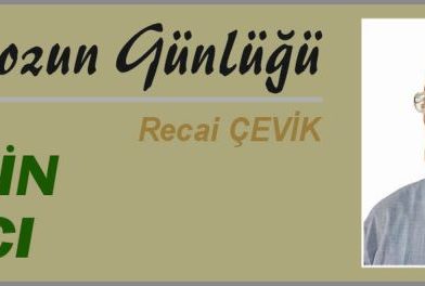 ISTAKOZUN GÜNLÜĞÜ – ZEYTİN AĞACI