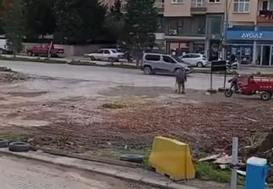 ERDEK GİRİŞİNDEKİ İSTASYON YIKILDI