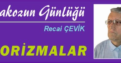 ISTAKOZUN GÜNLÜĞÜ – AFORİZMALAR