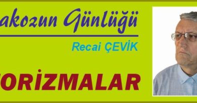 ISTAKOZUN GÜNLÜĞÜ – AFORİZMALAR