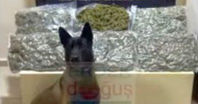 ARAÇ İÇİNDE 7 KİLO SKUNK YAKALANDI