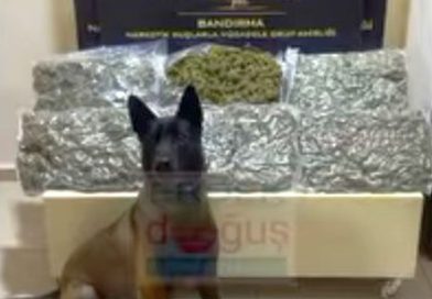 ARAÇ İÇİNDE 7 KİLO SKUNK YAKALANDI