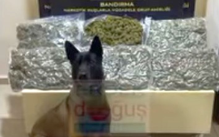 ARAÇ İÇİNDE 7 KİLO SKUNK YAKALANDI