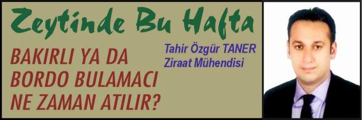 Zeytinde Bu Hafta – BAKIRLI YA DA  BORDO BULAMACI  NE ZAMAN ATILIR?