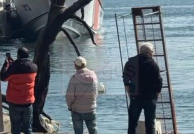 DEV AĞACIN GÖVDESİ LİMANDAN ÇIKARILDI