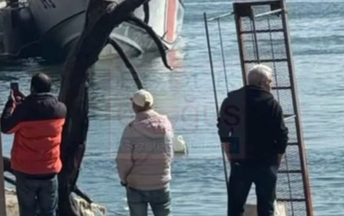 DEV AĞACIN GÖVDESİ LİMANDAN ÇIKARILDI