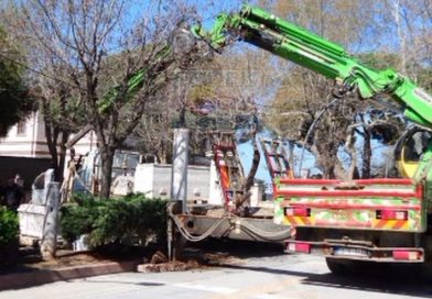 ESKİ MÜZE’DE KALAN LAHİT ve ANTİK  ESERLER DE TAŞINDI