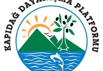 KAPIDAĞ DAYANIŞMA PLATFORMU: “KENT KONSEYİ YENİDEN GÜNDEMDE”