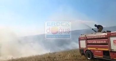 AVŞA ADASI’NDAKİ YANGIN SÖNDÜRÜLDÜ