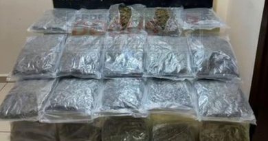 GÜBRE ÇUVALLARININ ALTINDAN 11 KİLO SKUNK ÇIKTI
