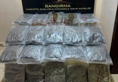GÜBRE ÇUVALLARININ ALTINDAN 11 KİLO SKUNK ÇIKTI