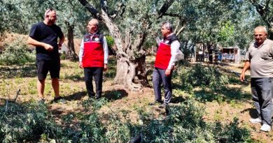 DOLU ve FIRTINANIN YARALARI YERİNDE İNCELENDİ