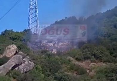 KÜÇÜKOVA SIRTLARINDA KORKUTAN ORMAN YANGINI