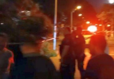 KURBAĞLI’DAKİ YAŞLI ÇAM SERT RÜZGÂRA DAYANAMADI