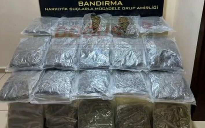 GÜBRE ÇUVALLARININ ALTINDAN 11 KİLO SKUNK ÇIKTI