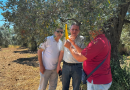 ZEYTİN SİNEĞİ ALARMI