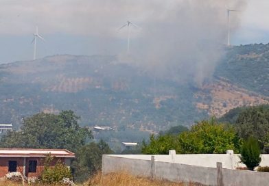 NARLI SIRTLARINDAKİ YANGINA HAVADAN KARADAN MÜDAHALE