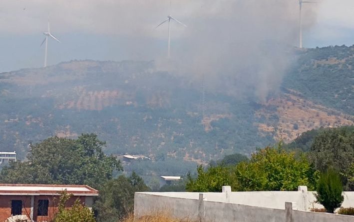 NARLI SIRTLARINDAKİ YANGINA HAVADAN KARADAN MÜDAHALE