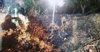 PAŞALİMANI ADASI HARMANLI’DA OTLUK ALAN YANDI