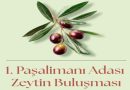PAŞALİMANI ADASI’NDA ZEYTİN BULUŞMASI