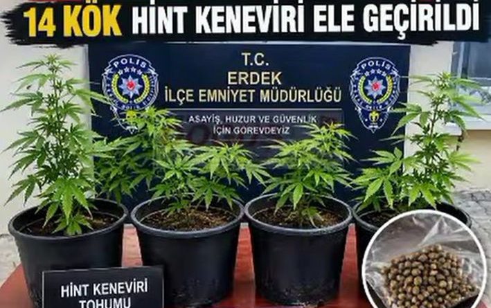ERDEK’TE KENEVİR OPERASYONU