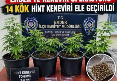 ERDEK’TE KENEVİR OPERASYONU