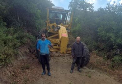 ZEYTİN HASADI ÖNCESİ BAHÇE YOLLARINA BAKIM